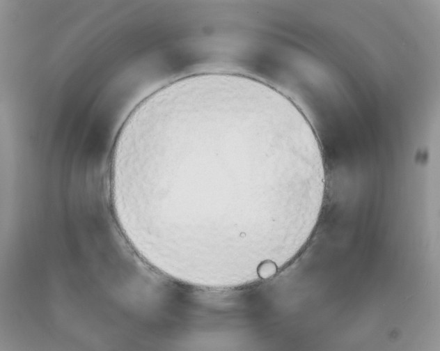 X0000091311150200709071109