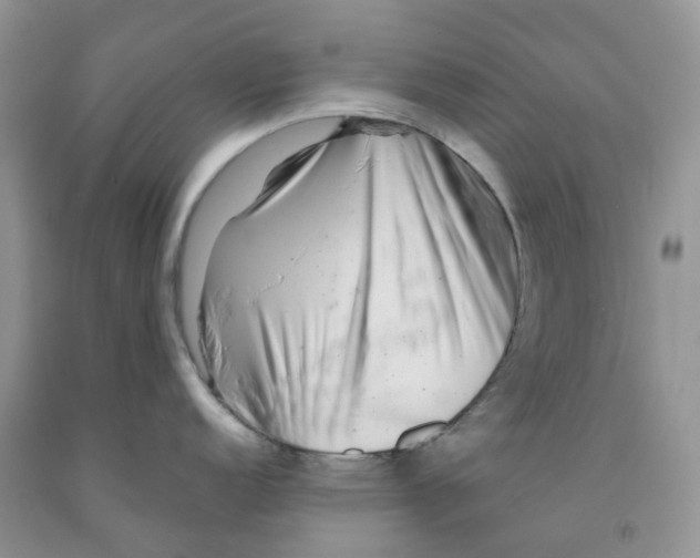 X0000091311152200709071109