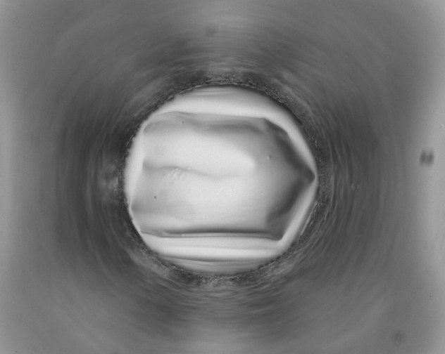 X0000091311154200709071108