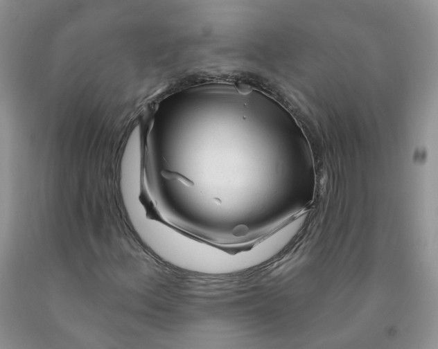 X0000091311156200709071108