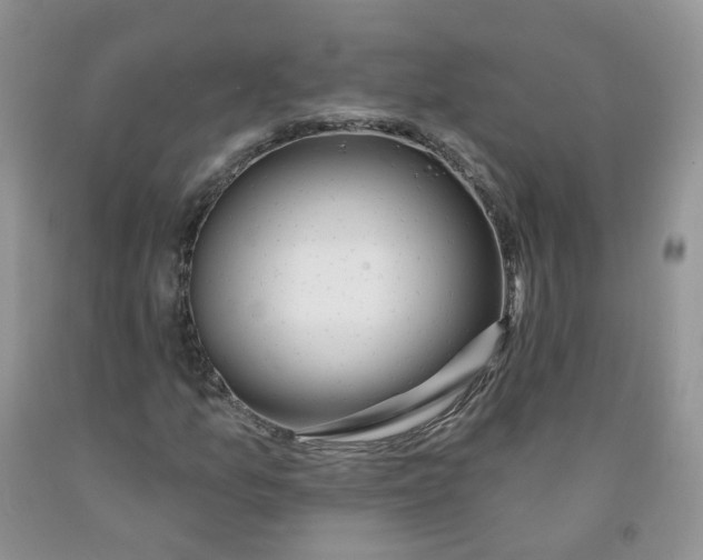 X0000091311157200709071108