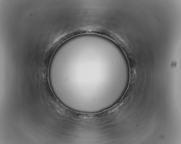 X0000091311158200709071108