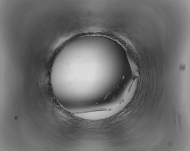 X0000091311160200709071108