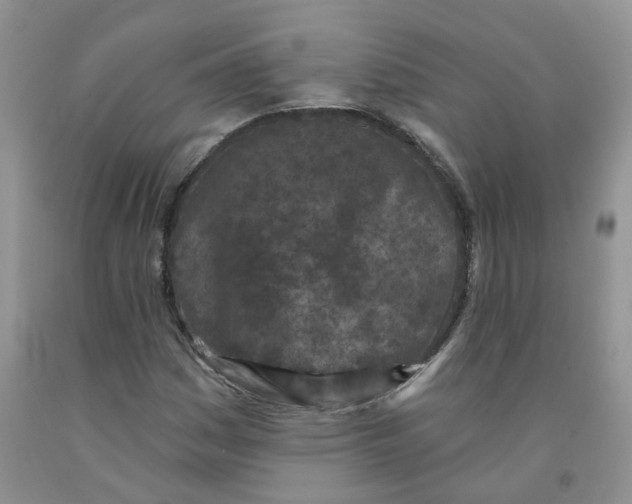 X0000091311161200709071108