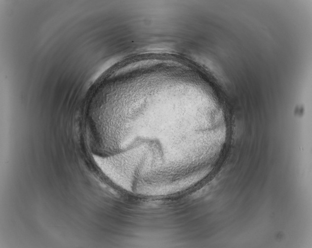 X0000091311162200709071108