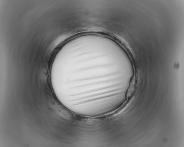 X0000091311163200709071108