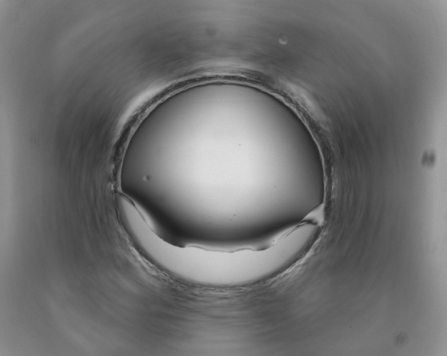 X0000091311164200709071108