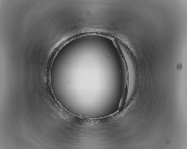 X0000091311165200709071108