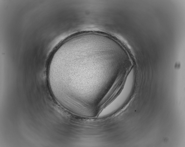 X0000091311167200709071108