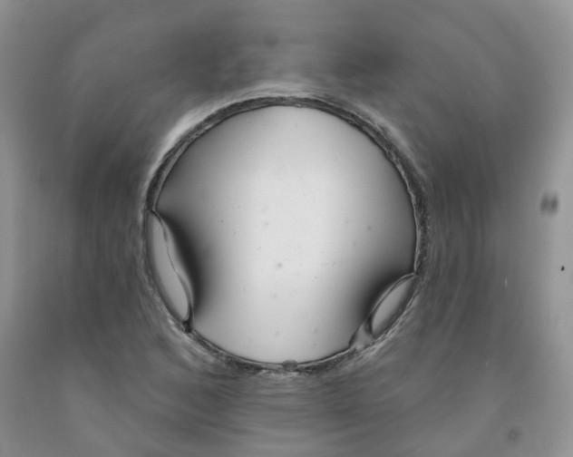 X0000091311168200709071108