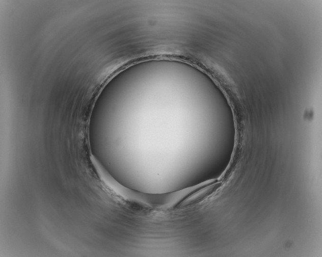 X0000091311169200709071108