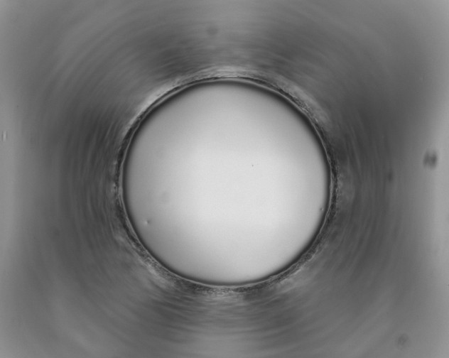 X0000091311170200709071108