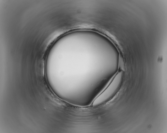 X0000091311171200709071108