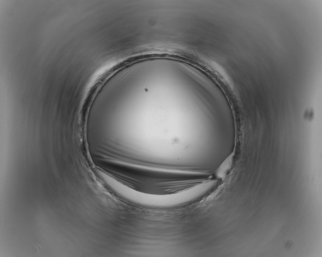 X0000091311172200709071108