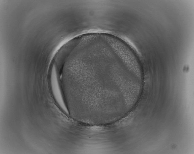 X0000091311173200709071108