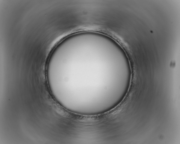 X0000091311174200709071108