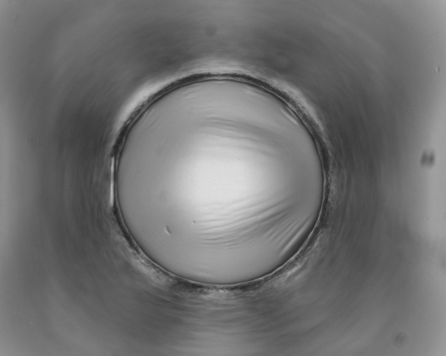 X0000091311175200709071108