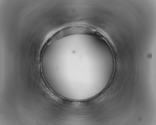 X0000091311176200709071108