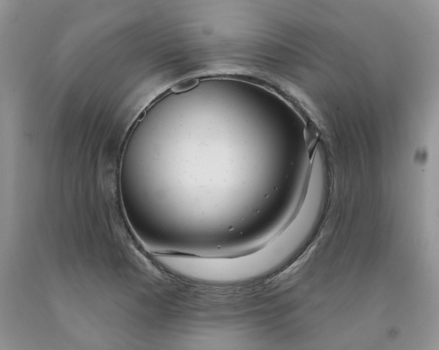 X0000091311177200709071108