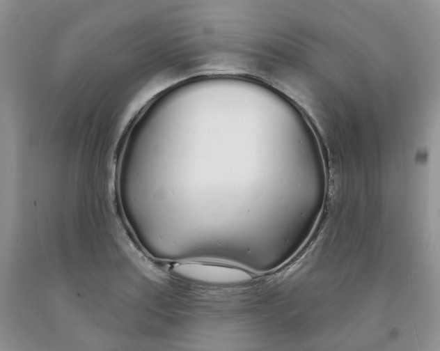 X0000091311179200709071108