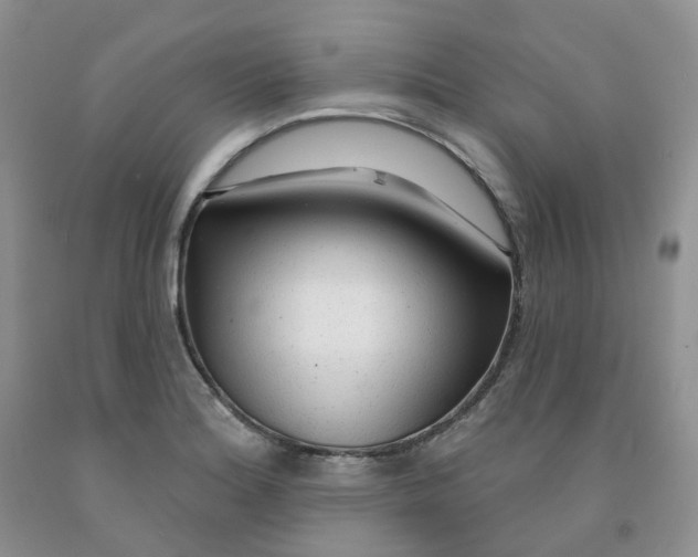 X0000091311180200709071108