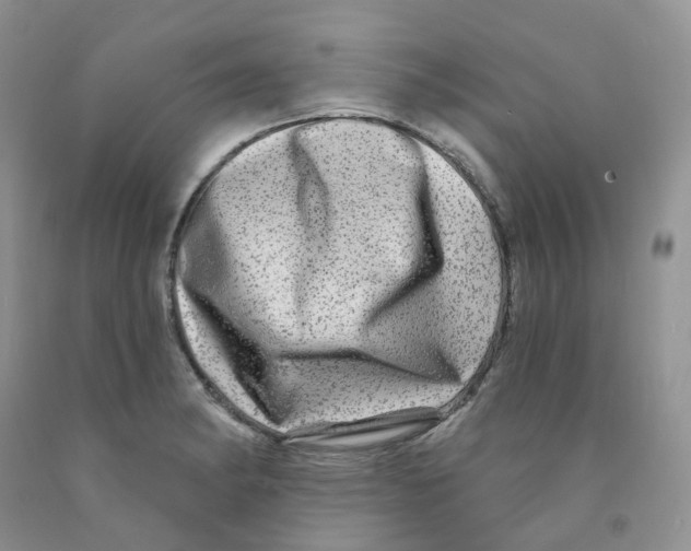 X0000091311182200709071108