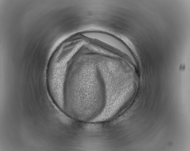 X0000091311183200709071108