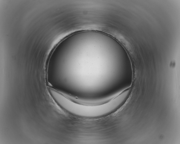 X0000091311184200709071108