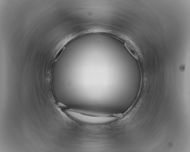 X0000091311185200709071108