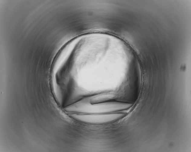 X0000091311186200709071108