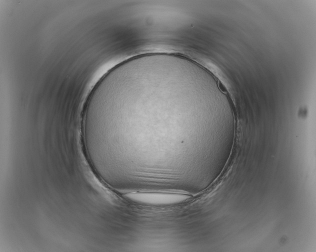 X0000091311187200709071108