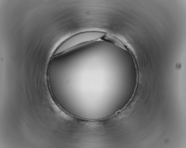 X0000091311189200709071108