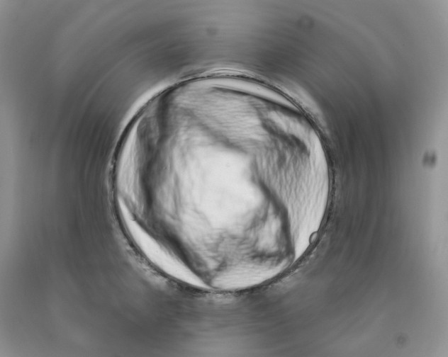 X0000091311190200709071108