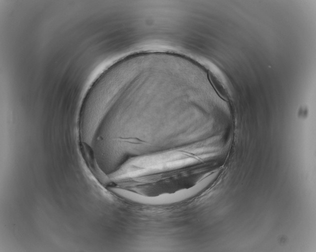 X0000091311191200709071107