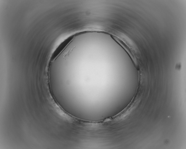 X0000091311192200709071107