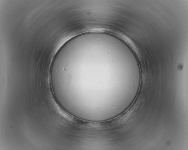 X0000091311194200709071107