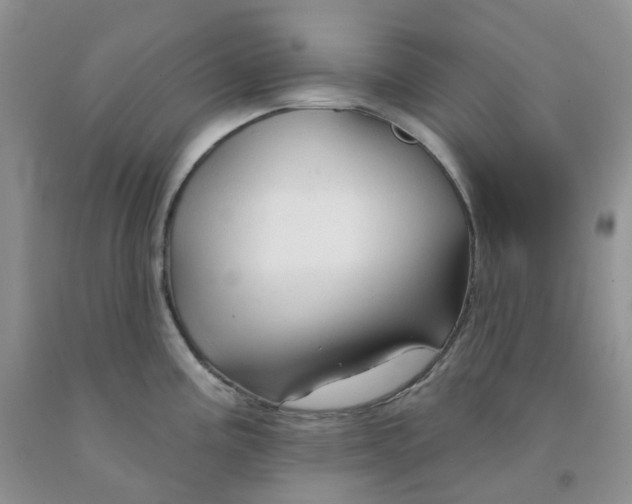 X0000091311195200709071107