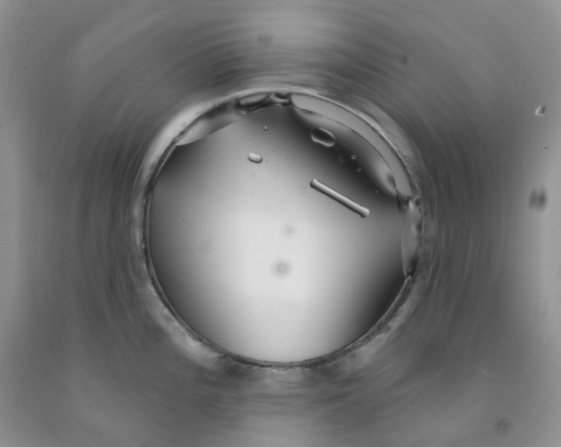 X0000091311196200709071107