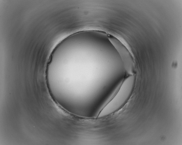 X0000091311197200709071107