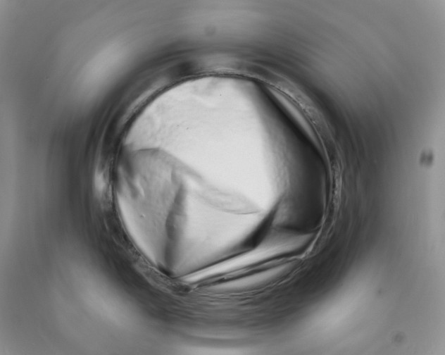 X0000091311198200709071107