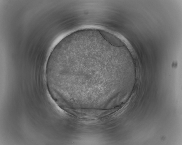 X0000091311199200709071107