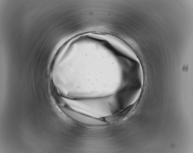 X0000091311200200709071107