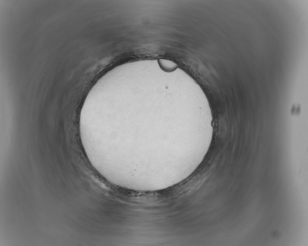 X0000091311201200709071107