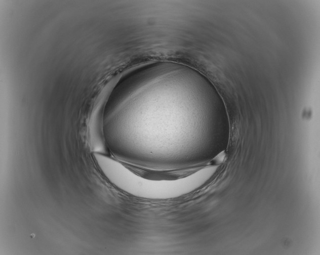 X0000091311202200709071107