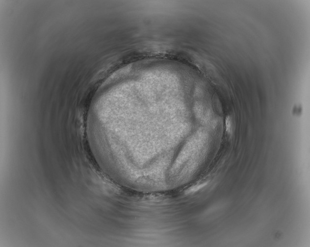 X0000091311203200709071107