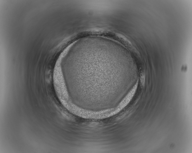 X0000091311204200709071107