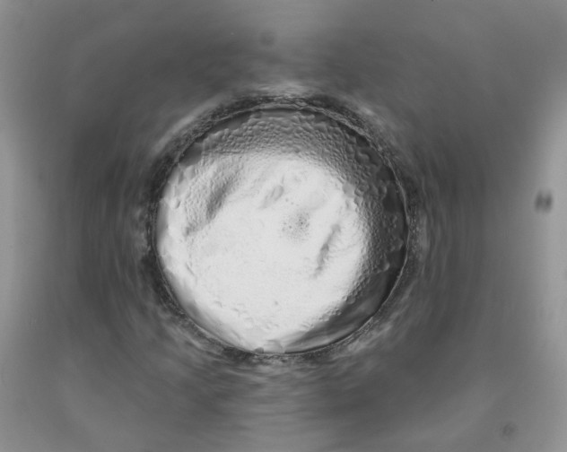 X0000091311205200709071107