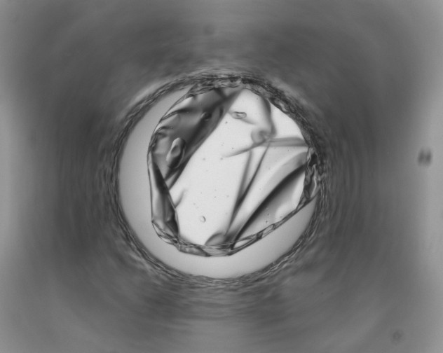 X0000091311206200709071107