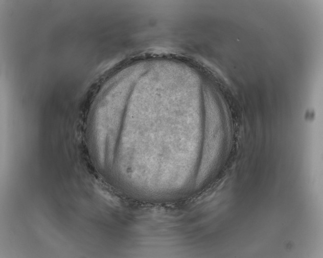 X0000091311207200709071107