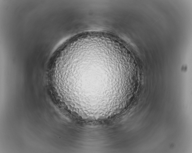 X0000091311208200709071107